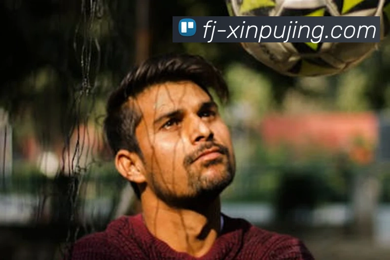 澳门新葡京娱乐平台生态图